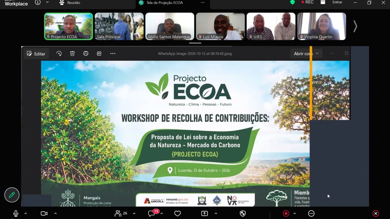 UJES PARTICIPA NO WORKSHOP DE RECOLHA DE CONTRIBUIÇÕES PARA A PROPOSTA DE LEI SOBRE A ECONOMIA DA NATUREZA E O MERCADO DE CARBONO EM ANGOLA