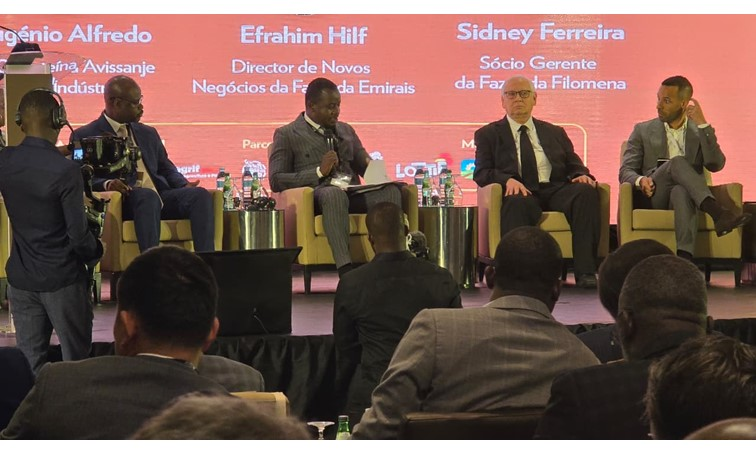 Conferência Nacional sobre Produção de Frangos em Angola