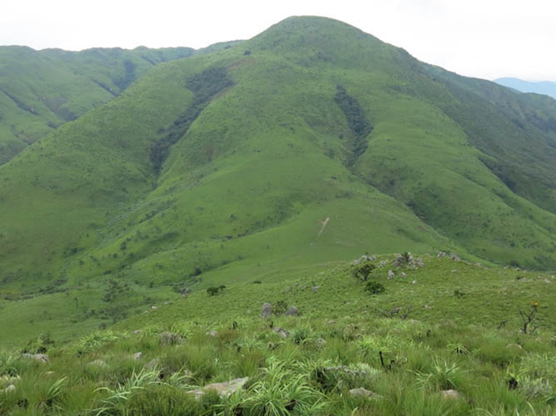 Projecto de Gestão Integrada do Morro do Moco